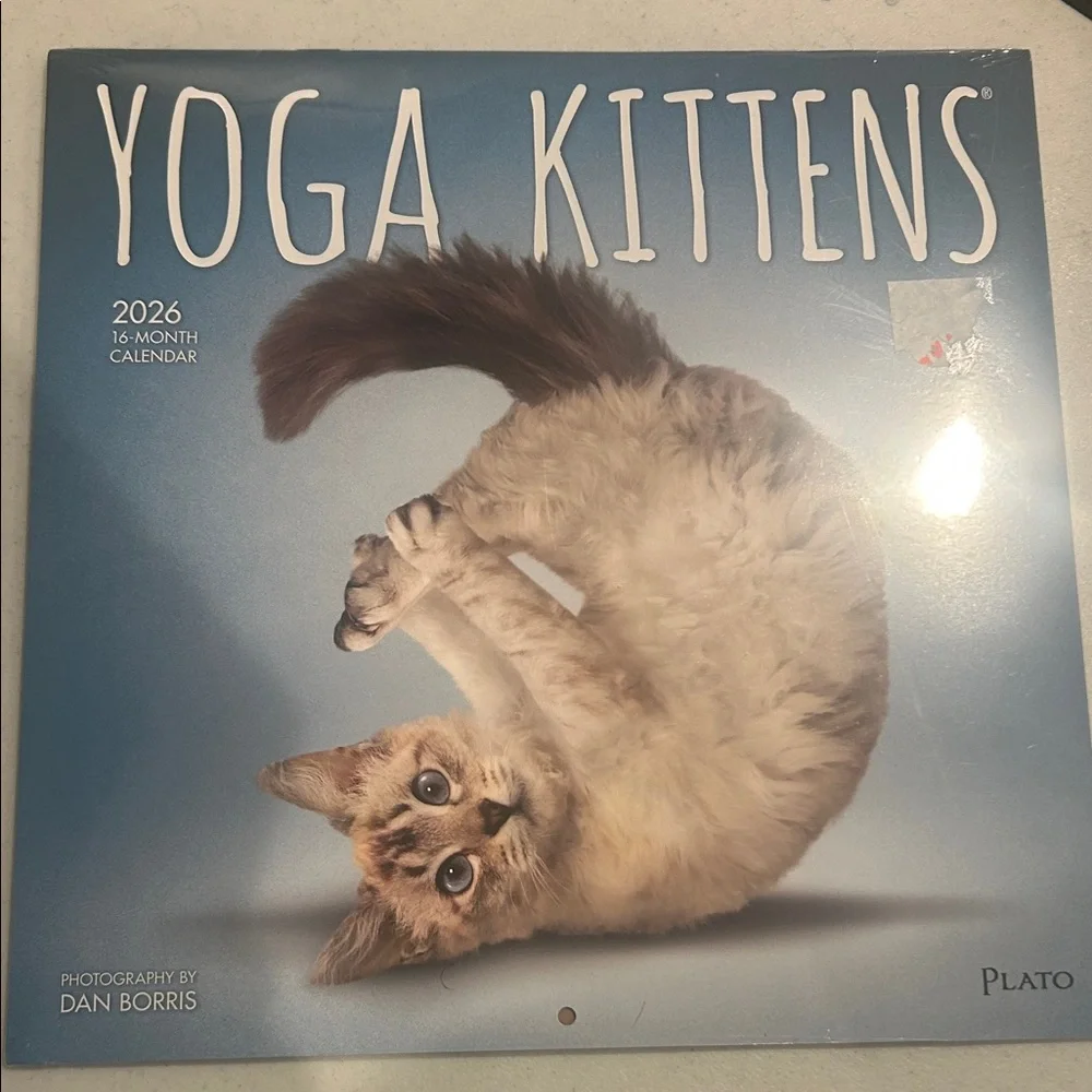 Yoga Kittens 2026 Calendar - Blue Cover